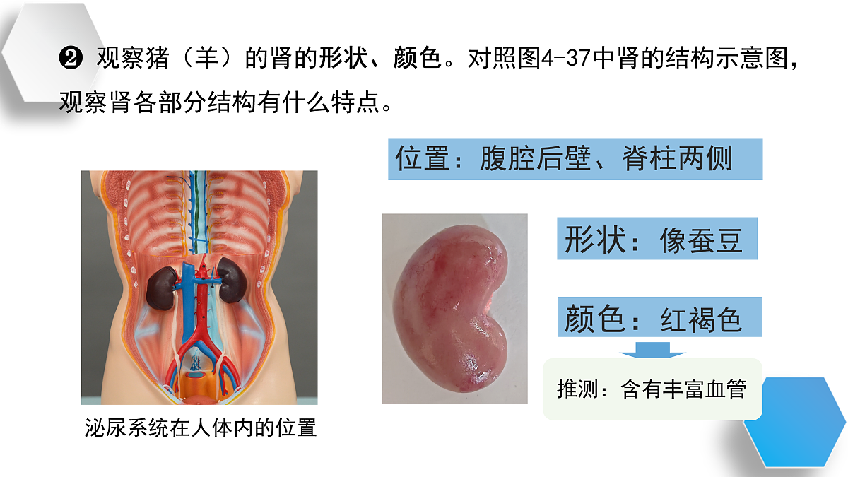 17929508第6页