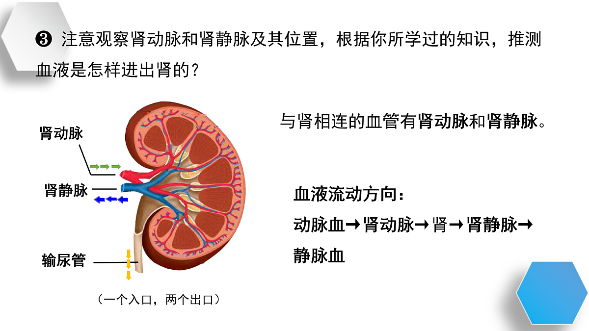 17929508第7页