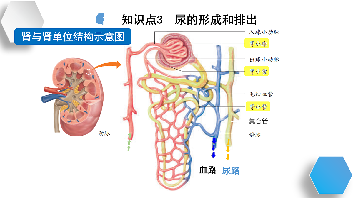17929508第8页