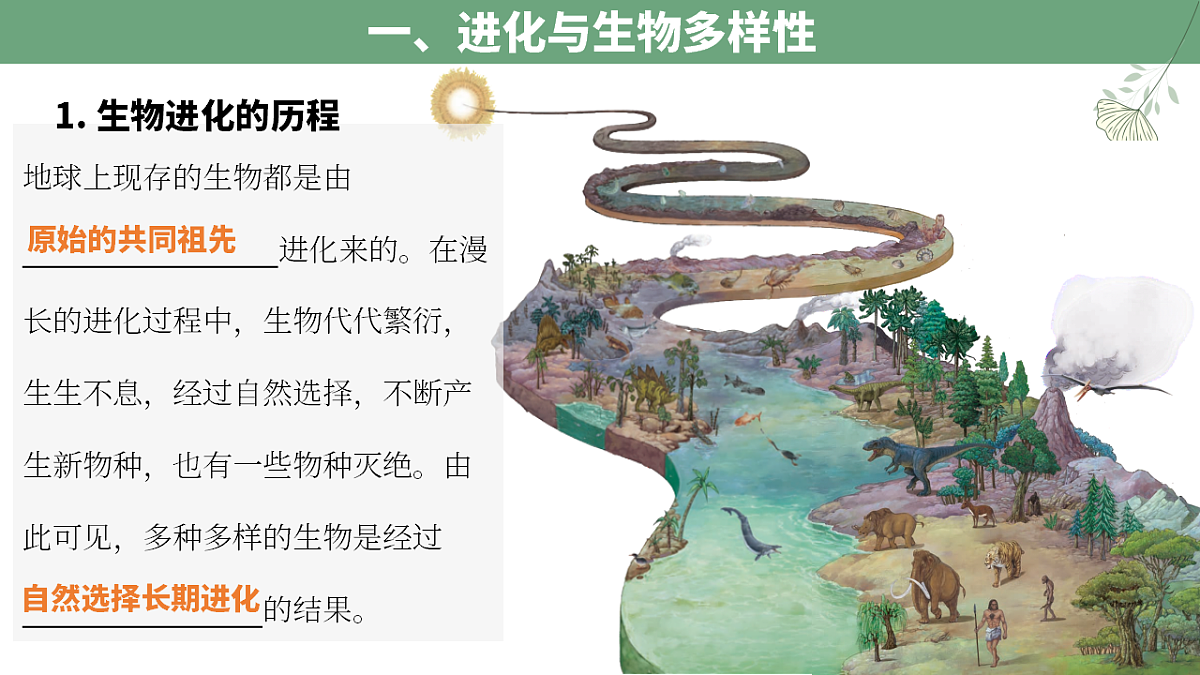 17929896第2页