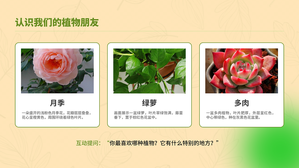 我的植物朋友（第1课时）第3页