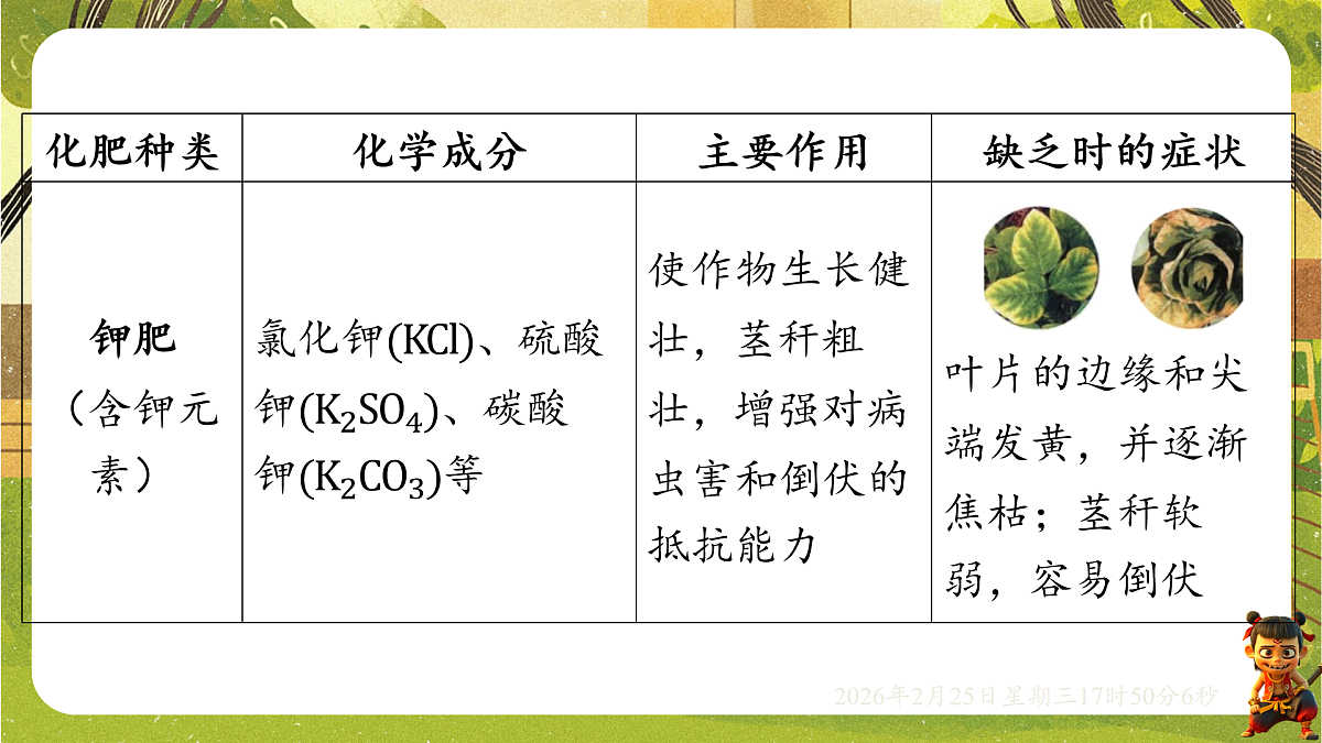 17931024第5页