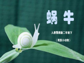 人教鄂教版小学科学二年级下册 3.8《蜗牛》2026课件+实验视频