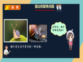 人教鄂教版小学科学二年级下册 3.8《蜗牛》2026课件+实验视频