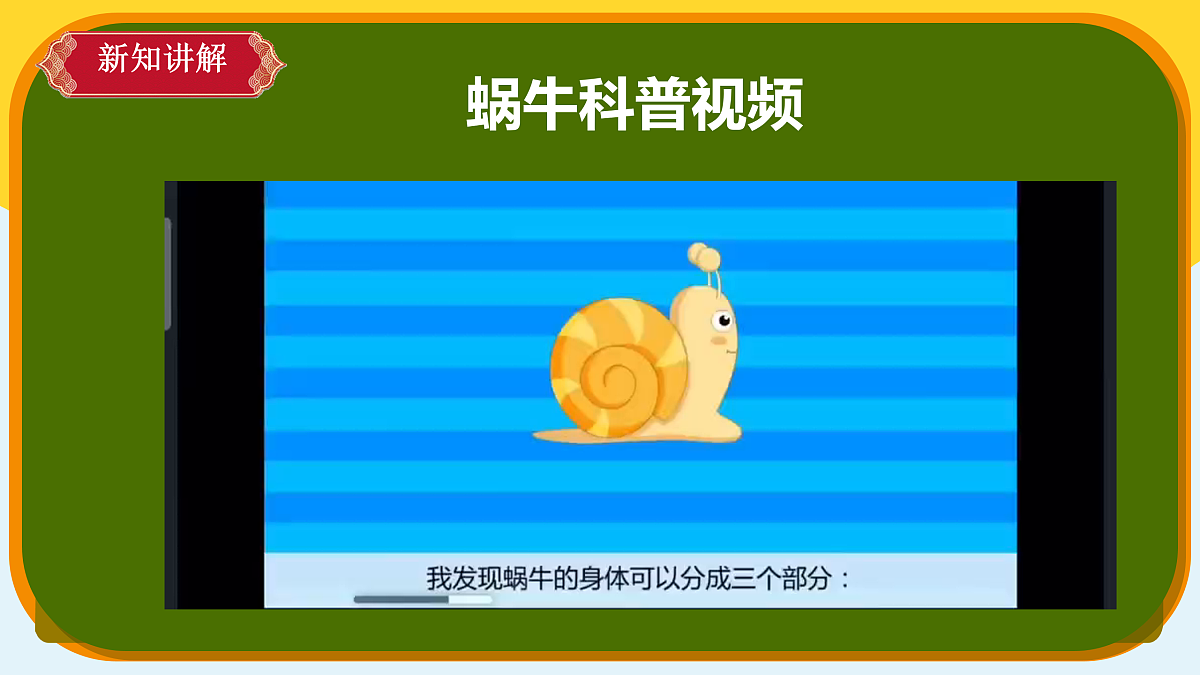 【新课标】3.8《蜗牛》课件（25张ppt）第4页