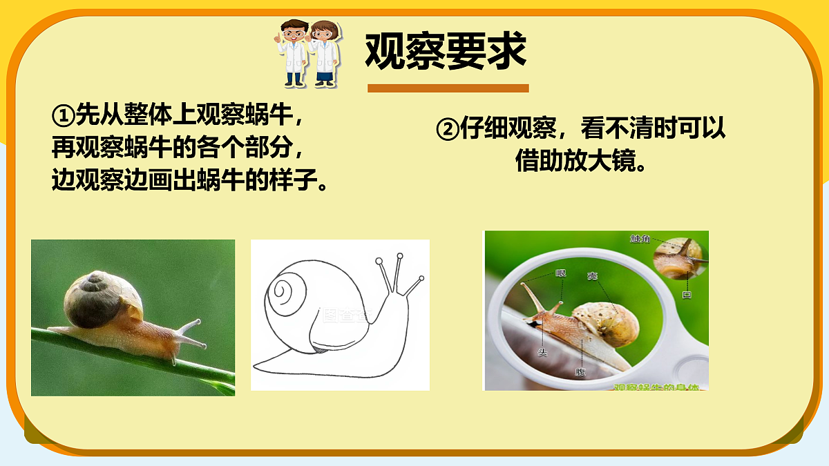 【新课标】3.8《蜗牛》课件（25张ppt）第6页