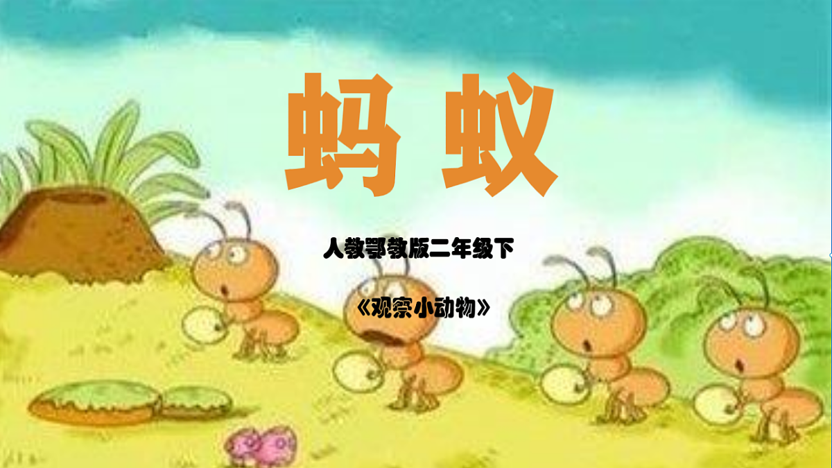 3.7《蚂蚁》（2006）新课件第1页