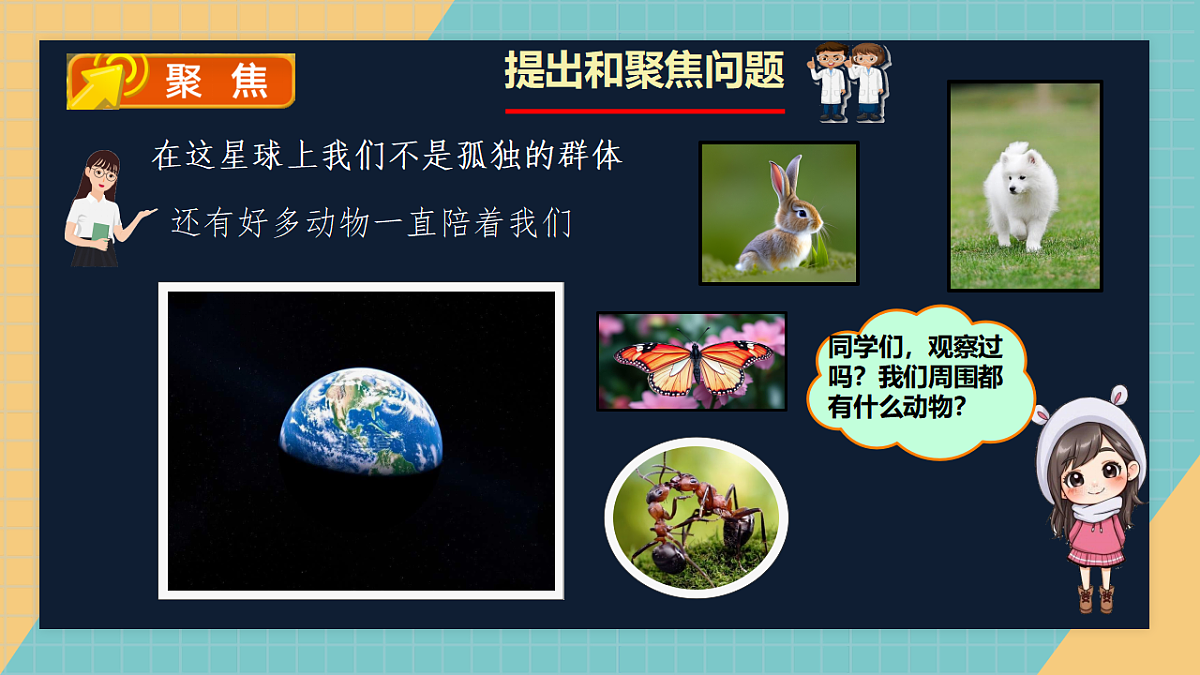 3.7《蚂蚁》（2006）新课件第2页