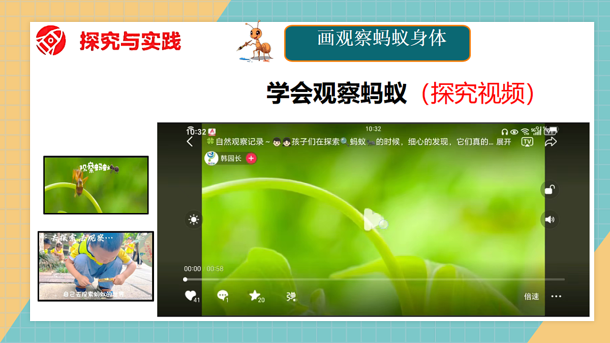 3.7《蚂蚁》（2006）新课件第6页