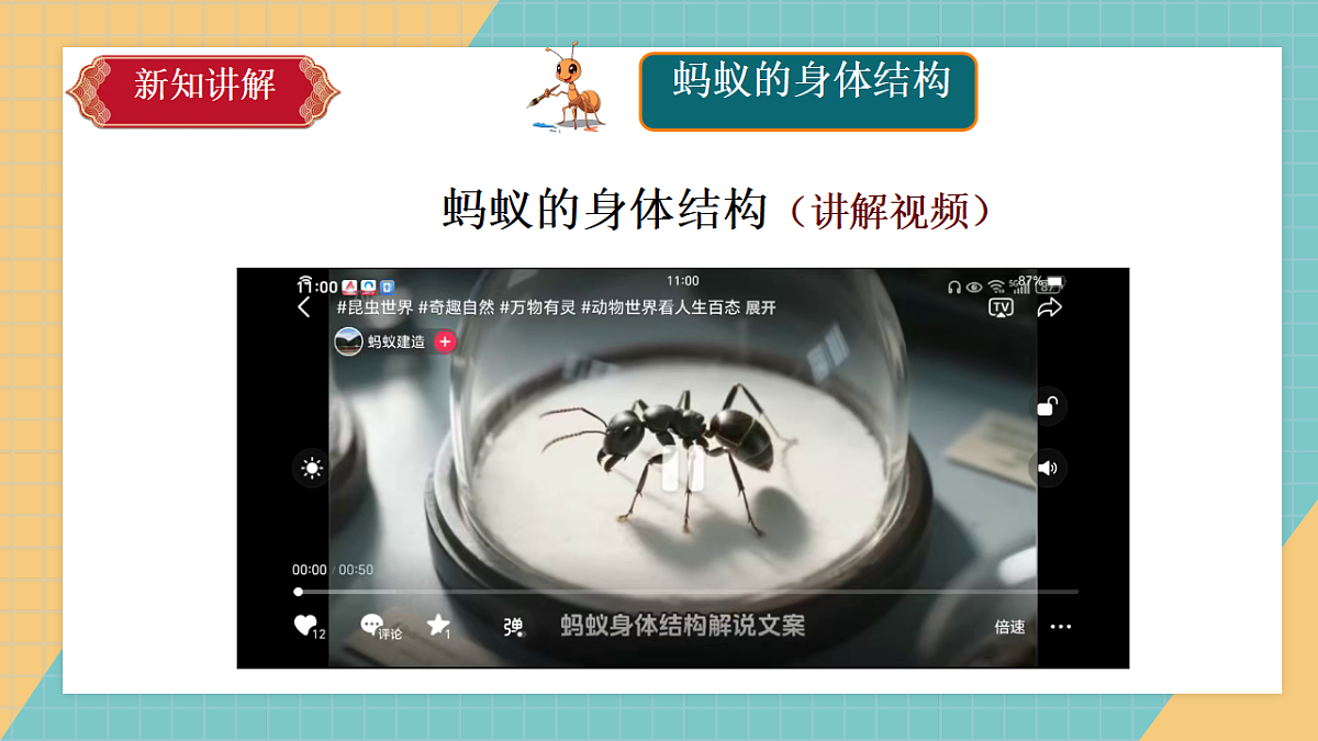 3.7《蚂蚁》（2006）新课件第8页