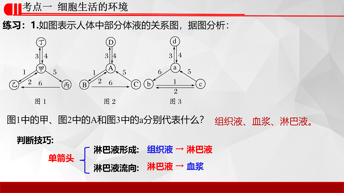 17932689第5页