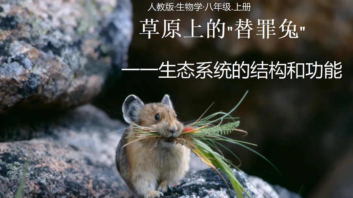 17932690第1页