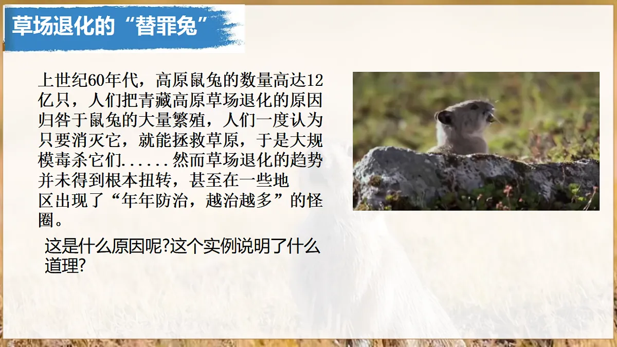 17932690第3页