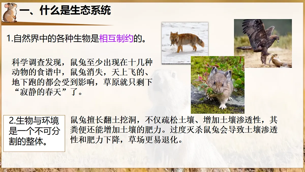 17932690第4页