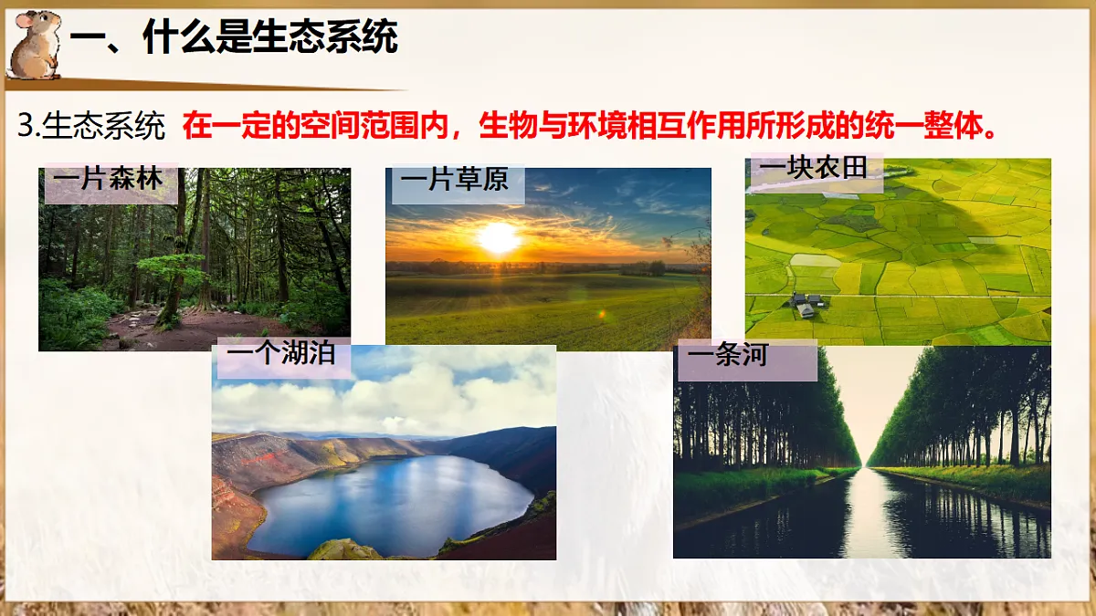 17932690第5页