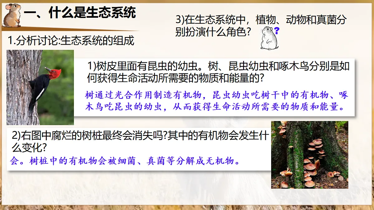 17932690第7页