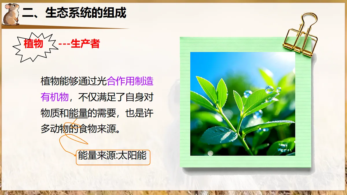 17932690第8页