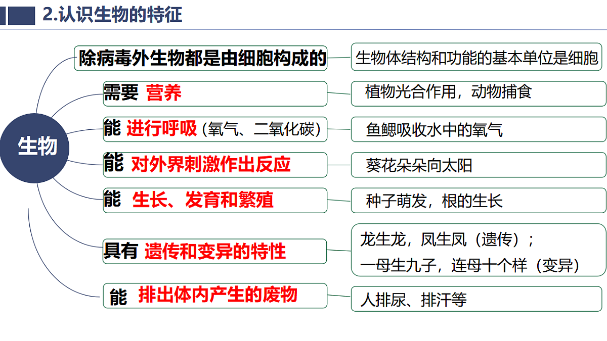 17932691第4页