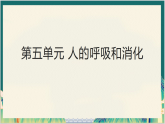第五单元 人的呼吸和消化 学案课件（含答案） 苏教版科学三年级下册