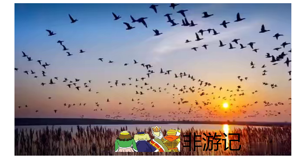 17935457第2页