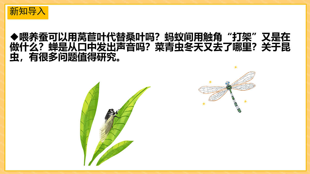 17937084第2页