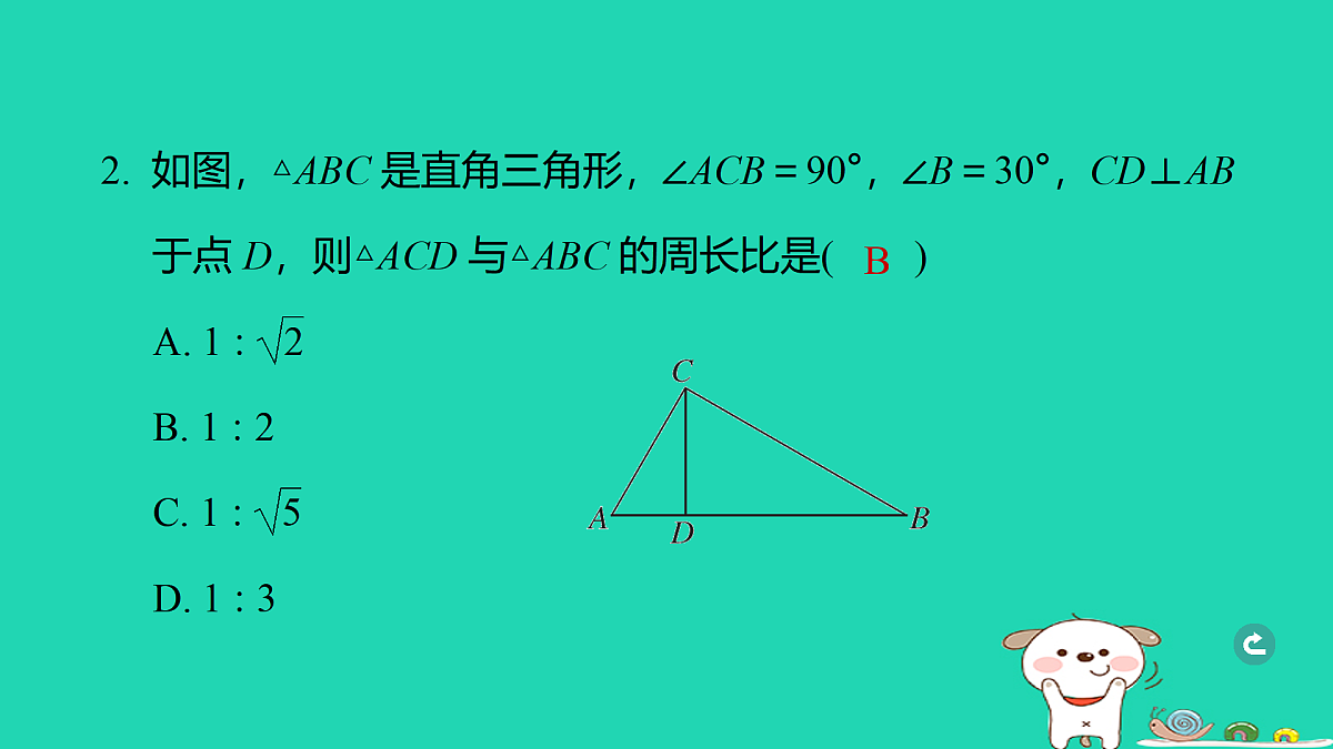 17938645第3页