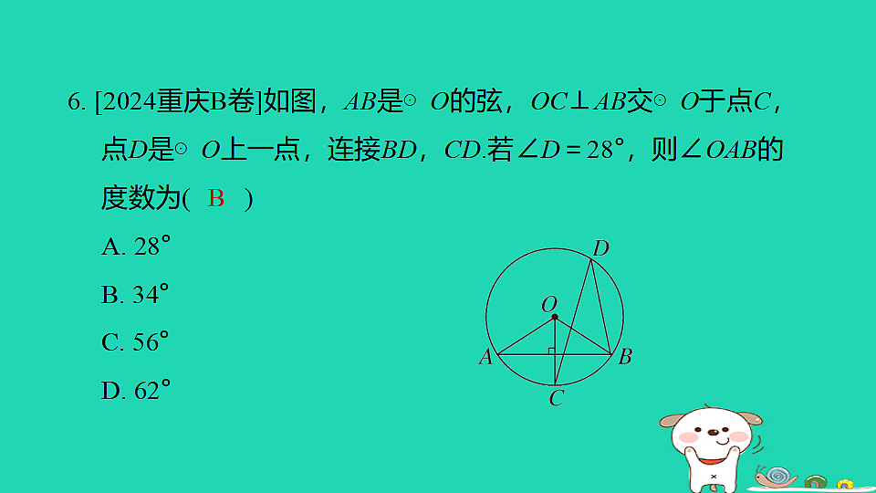17938656第8页