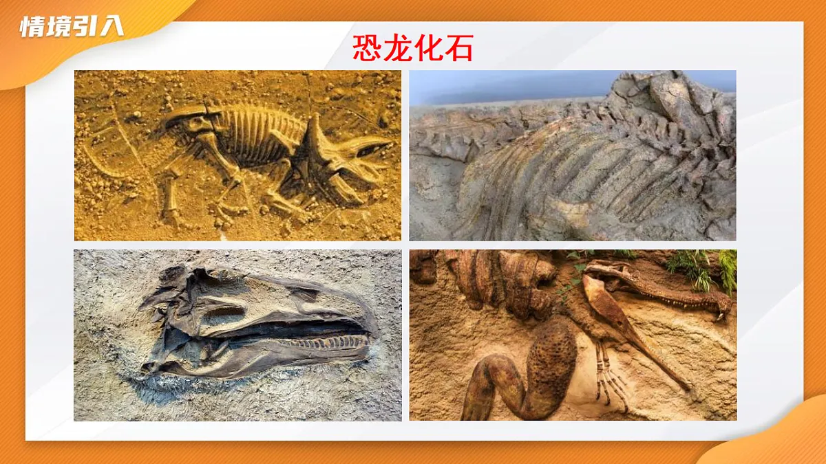 17938752第5页