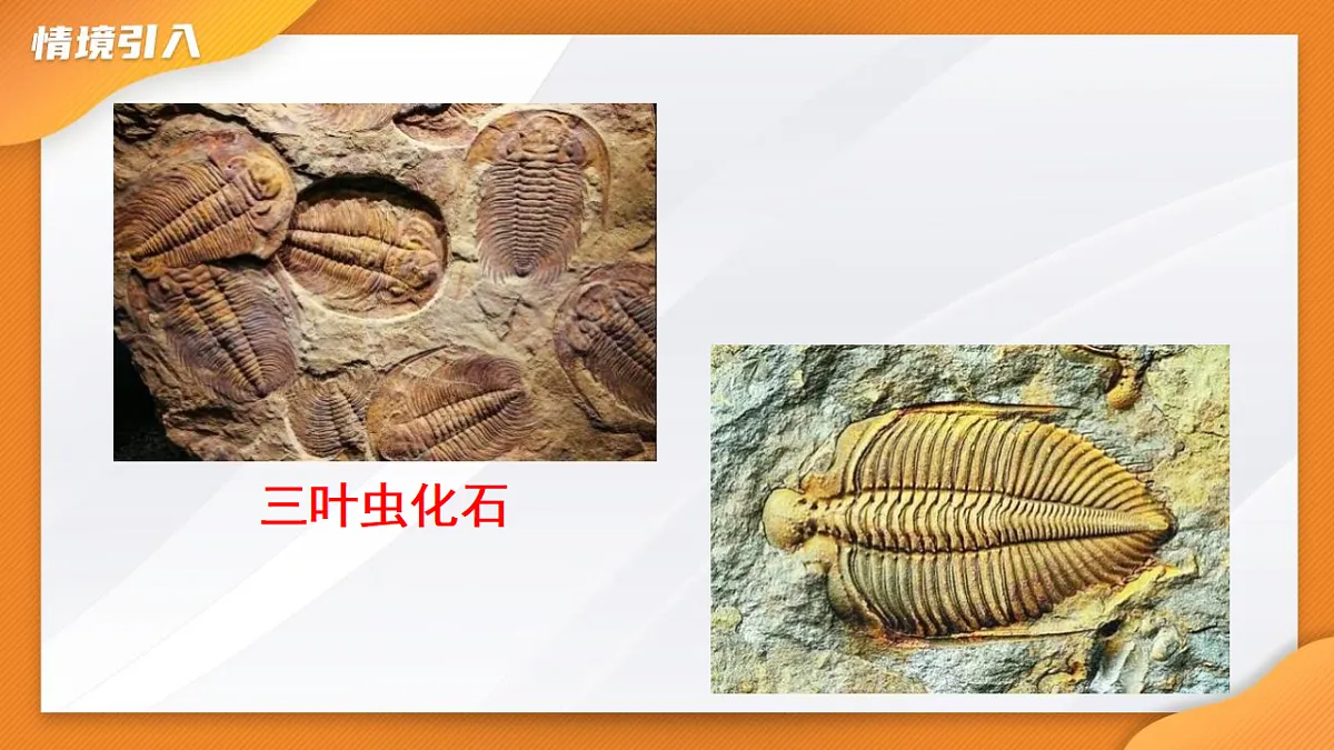 17938752第6页