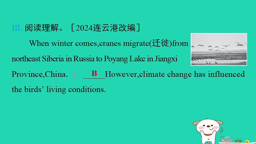 17938810第8页