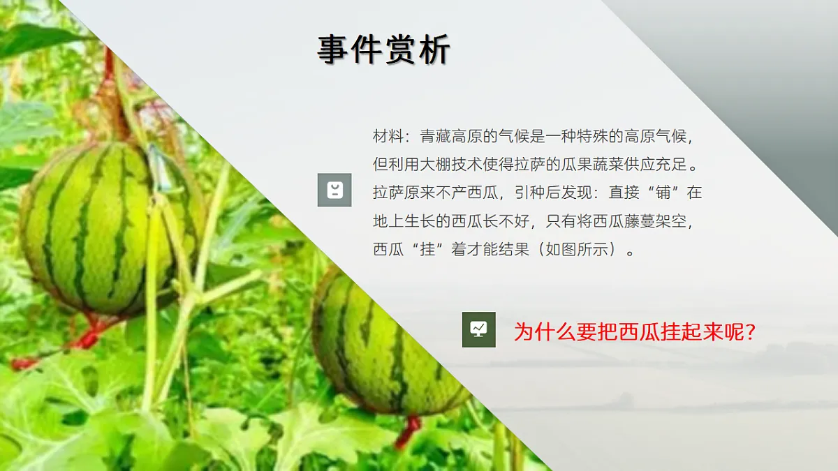 17938892第2页