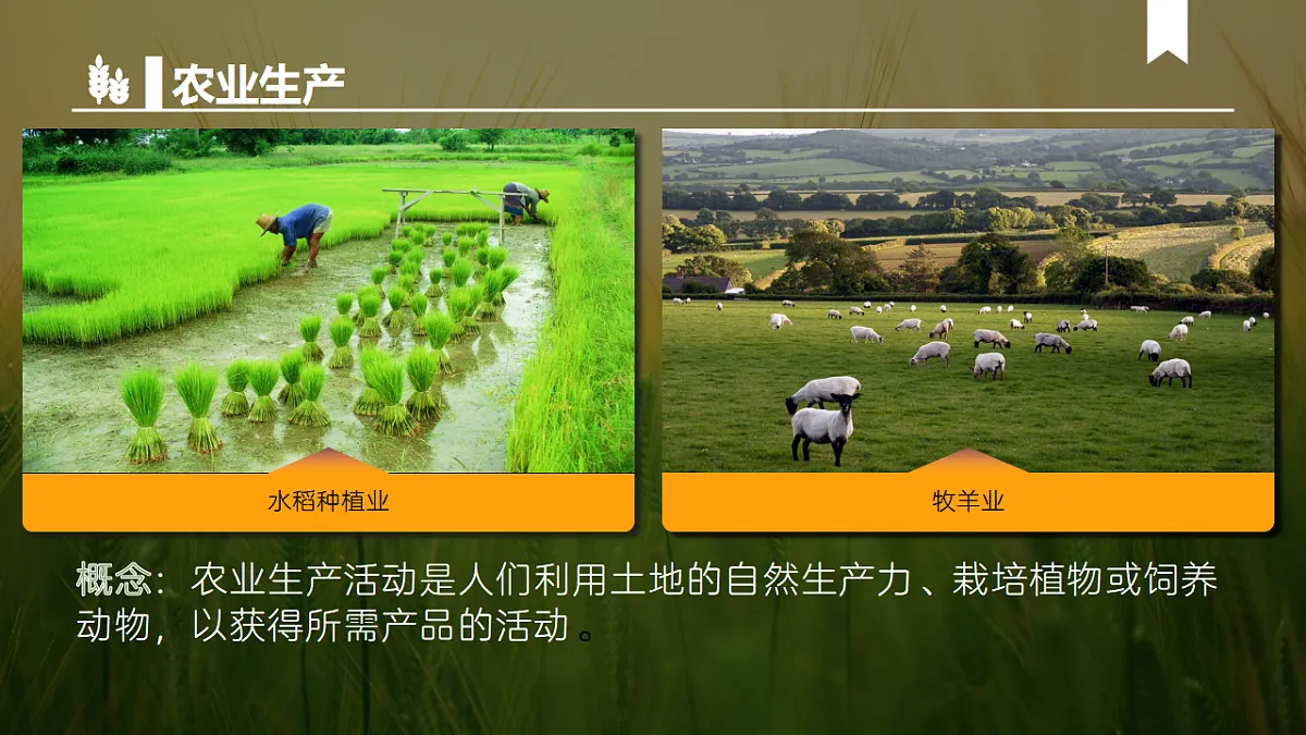 17938892第5页