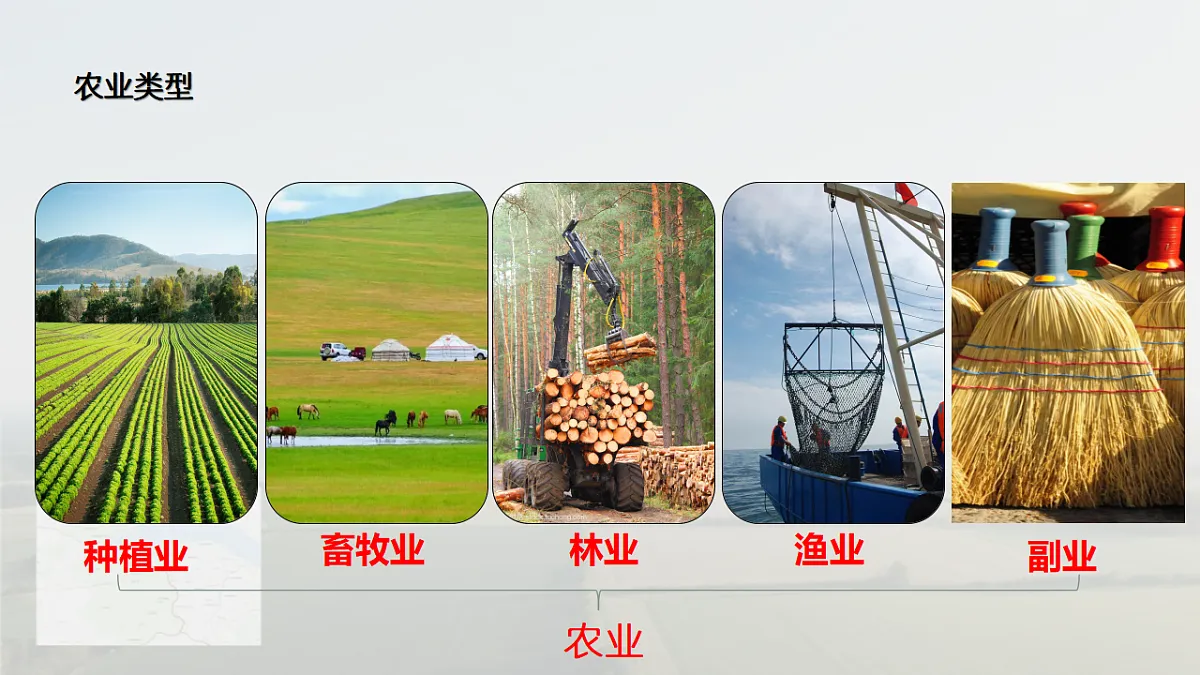17938892第6页