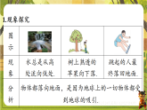 第七章 7.2重力 力的示意图 课件-2025-2026学年八年级物理下册（苏科版2024）