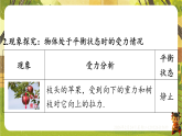 第八章 8.1二力平衡 课件-2025-2026学年八年级物理下册（苏科版2024）