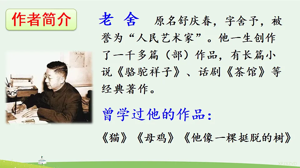 17943755第3页