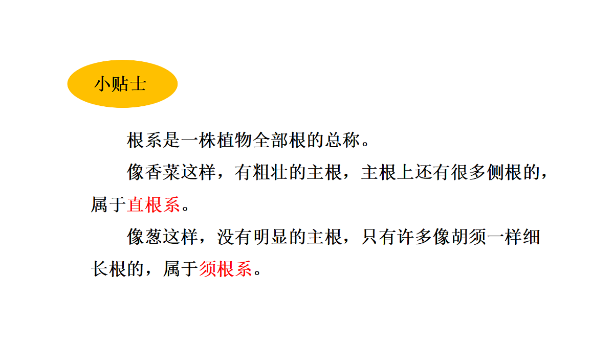 17946387第6页