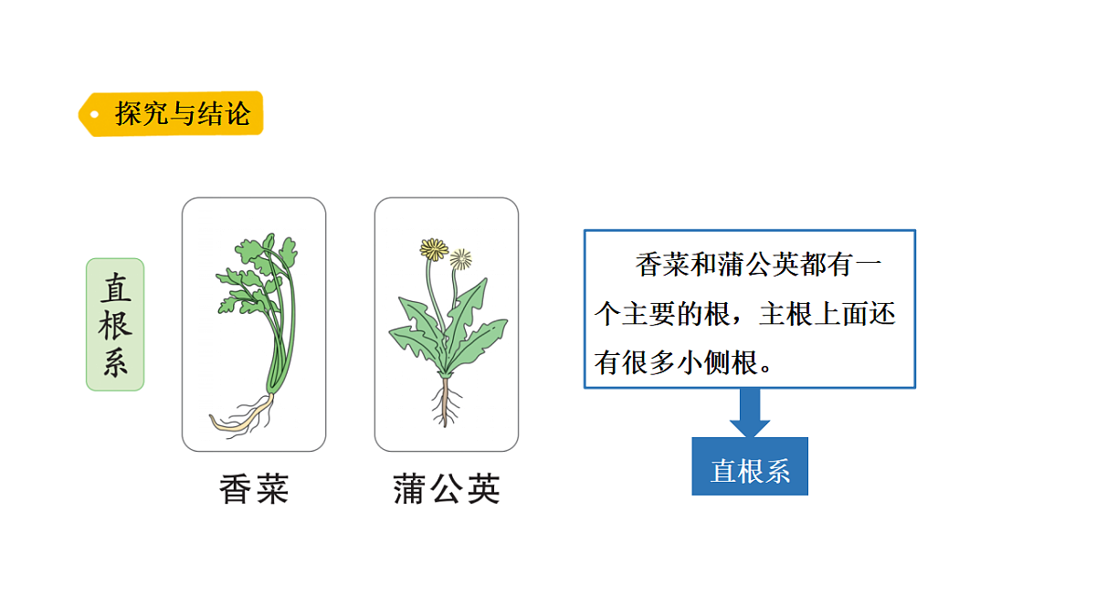 17946387第7页