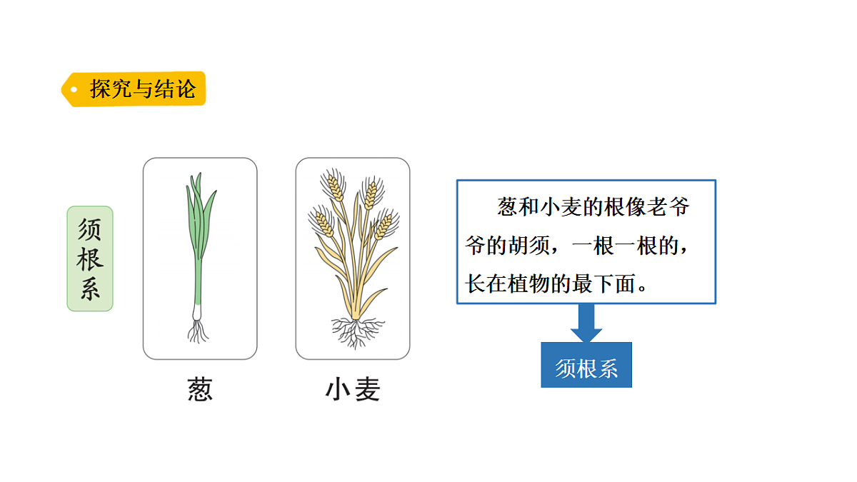 17946387第8页