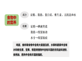 小学科学新大象版三年级下册第三单元 单元小结教学课件（2026春）