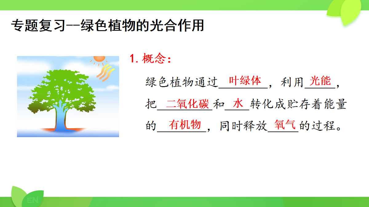 17947462第5页