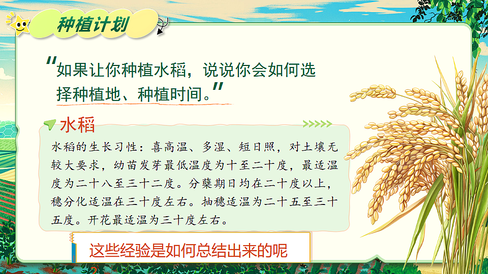 17947589第8页