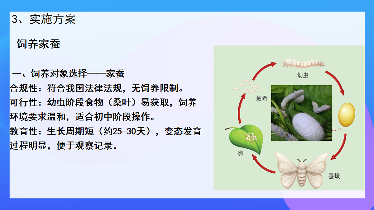 17947711第8页