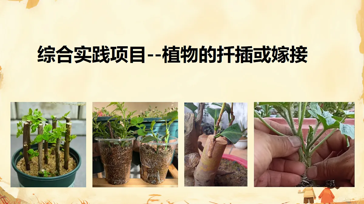 17947713第1页
