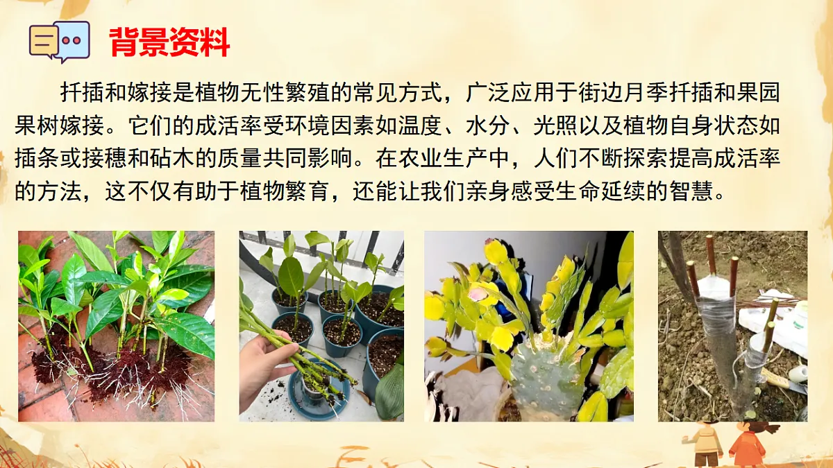 17947713第3页