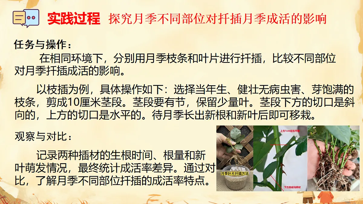 17947713第7页
