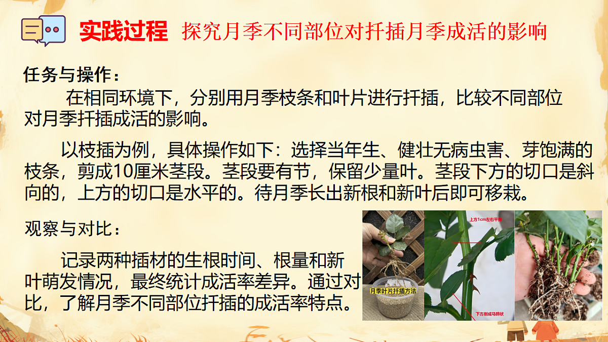 17947713第7页