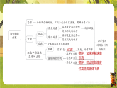 第九单元 溶液【单元复习】-课件--2025-2026学年（新教材）人教版九年级化学下册