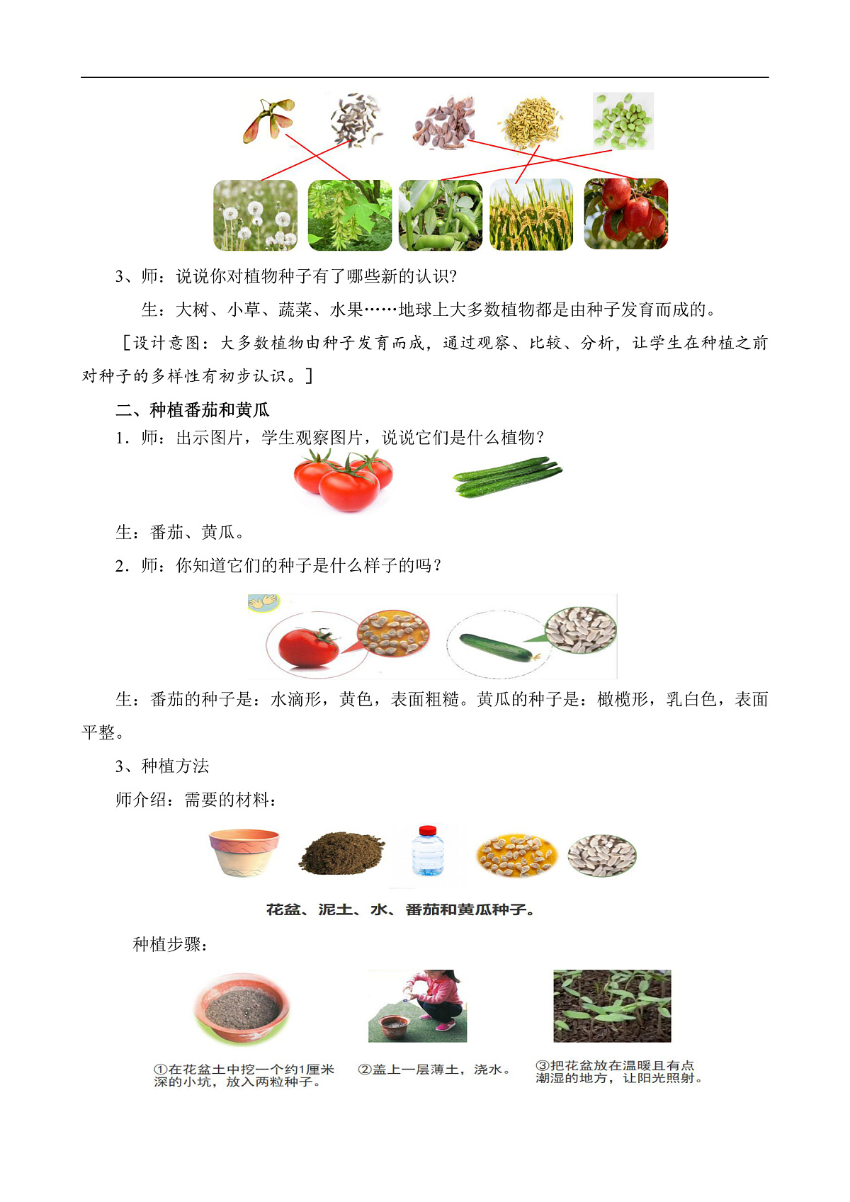 苏教版小学科学三年级下册《5.种子发芽了》教案第2页