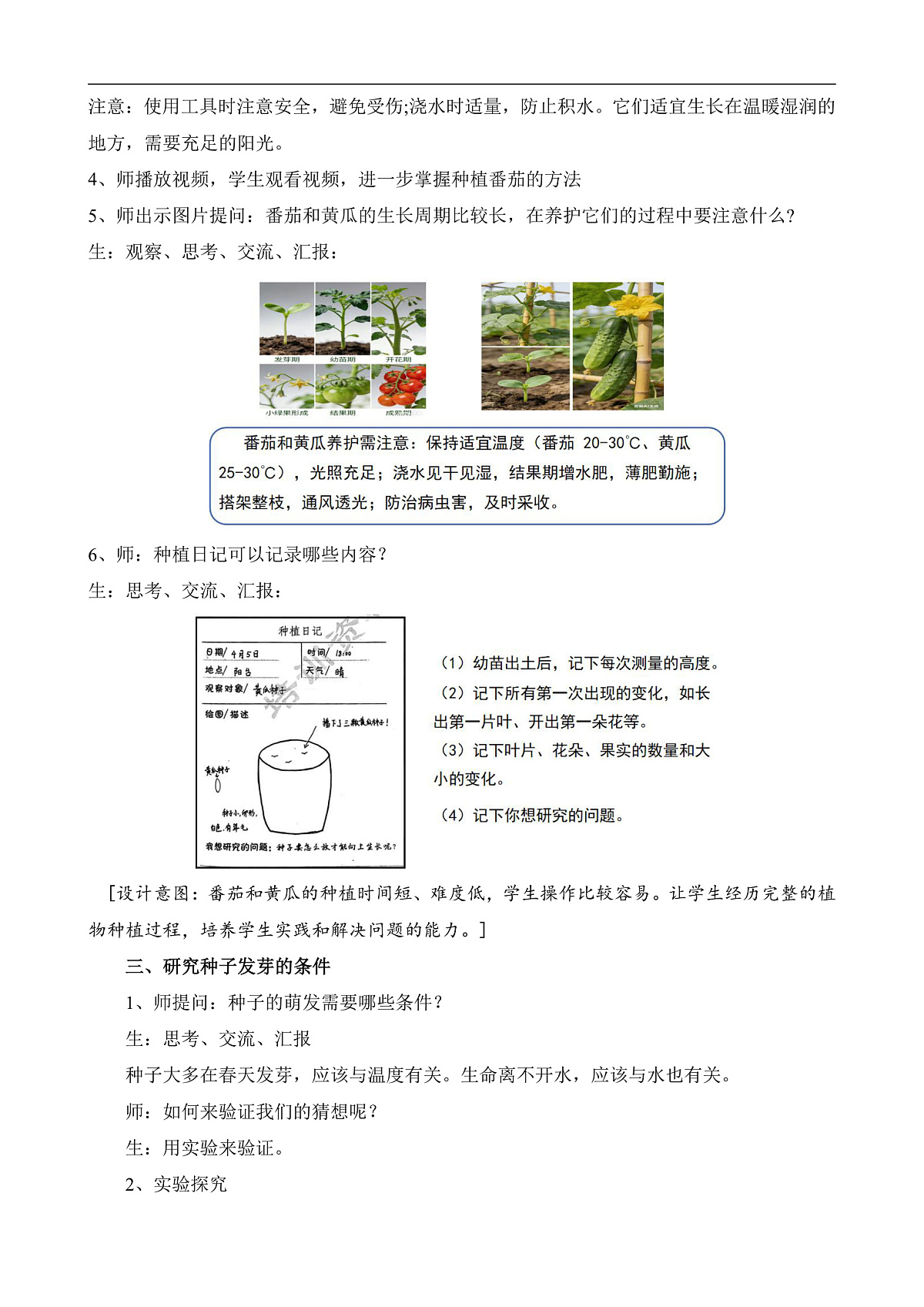 苏教版小学科学三年级下册《5.种子发芽了》教案第3页